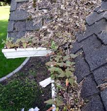 roofing leaf removal