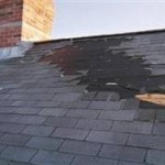 shingle roof damage