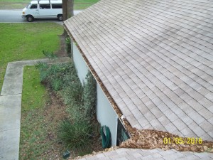 gutter cleaning during fall and winter