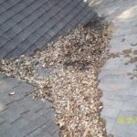 fall and winter roofing